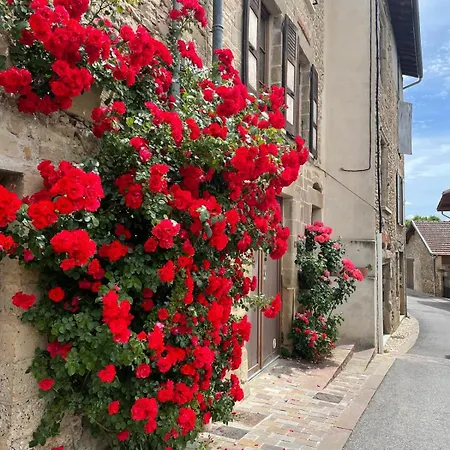 L'echappee Du Rouge * Saint-Antoine (Isere)